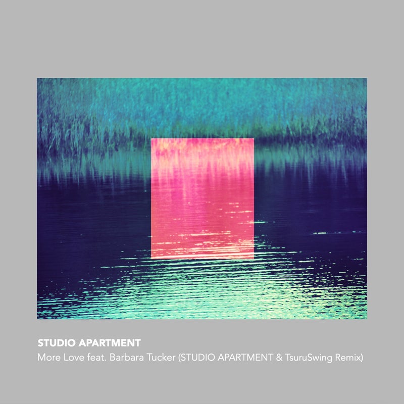 More Love (STUDIO APARTMENT & TsuruSwing Remix )