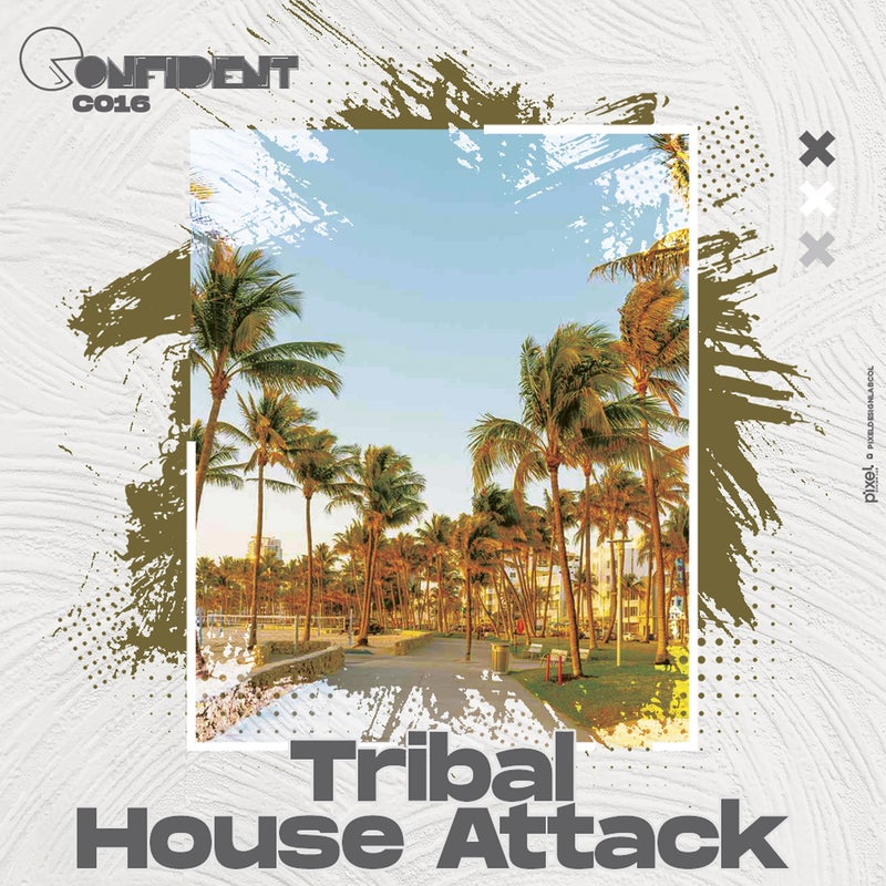 Tribal House Attack
