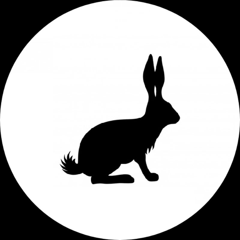 Year Of Rabbit EP