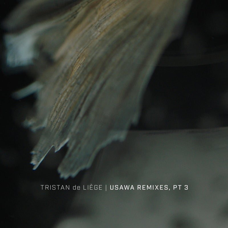 Usawa Remixes, Pt. 3