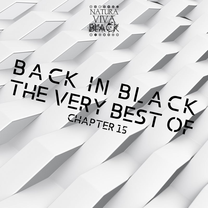 Back In Black! (The Very Best Of) Chapter 15
