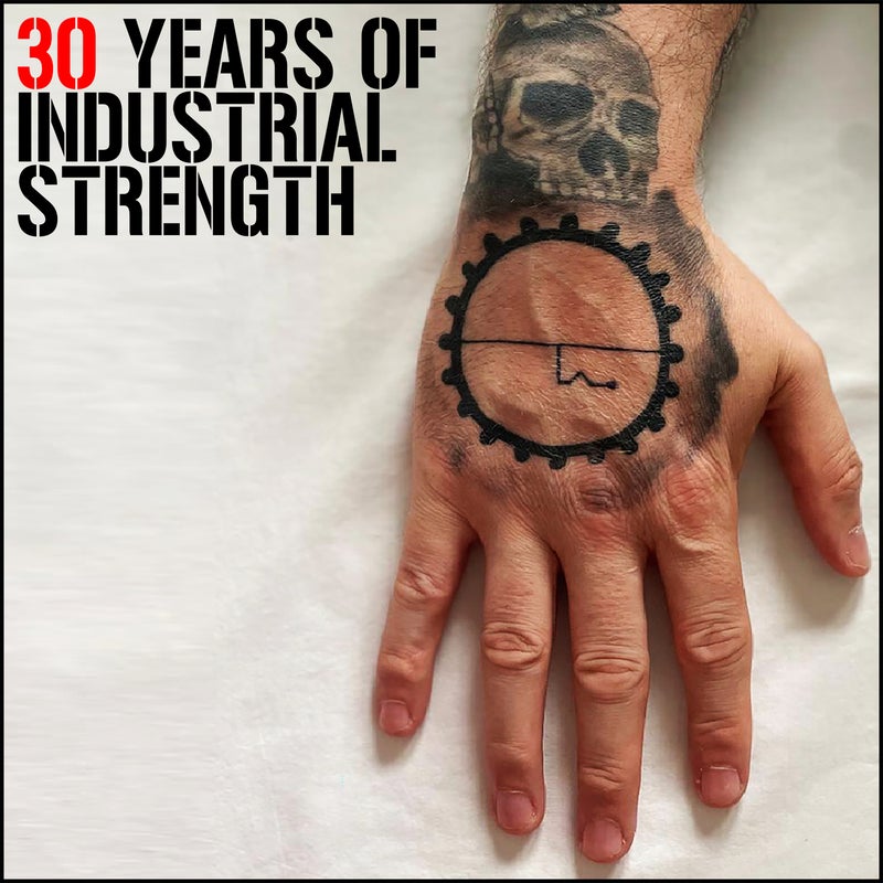 30 Years of Industrial Strength