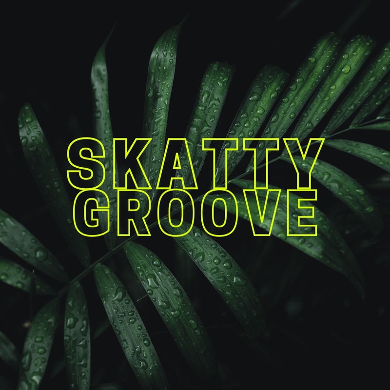 Skatty Groove