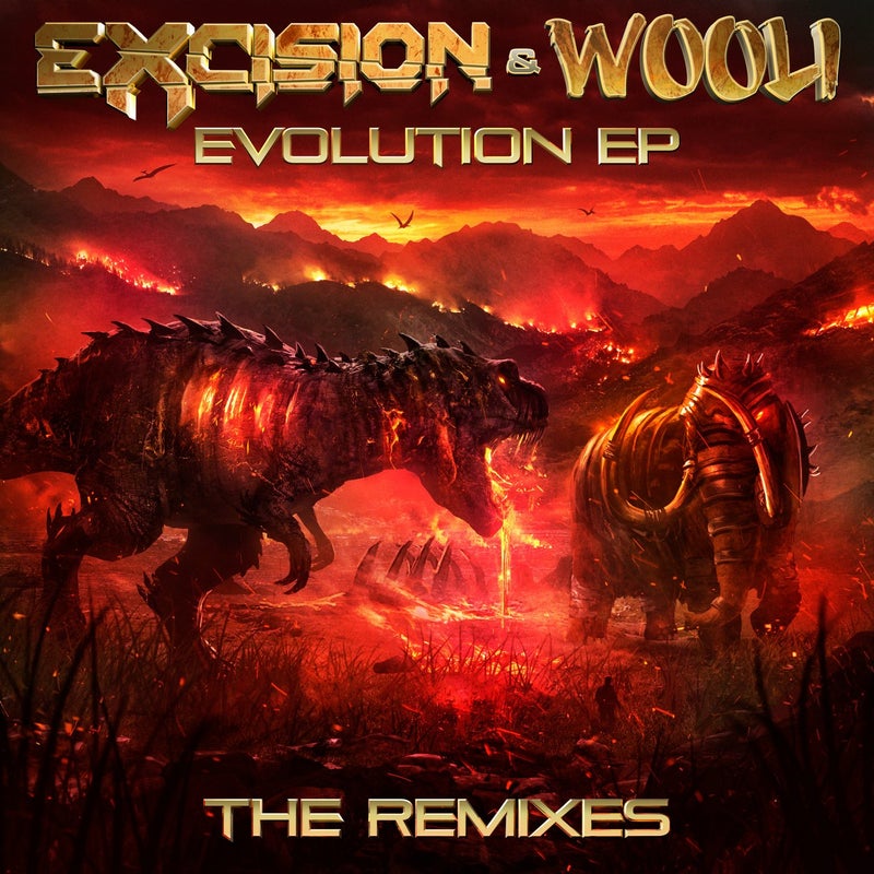 Evolution - The Remixes