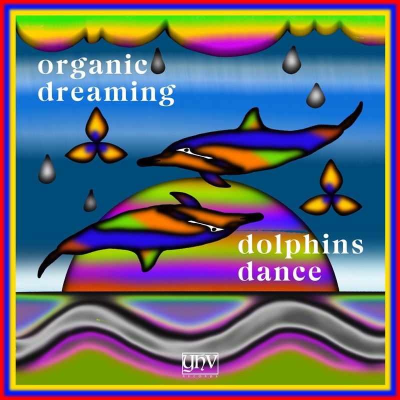 Dolphins Dance