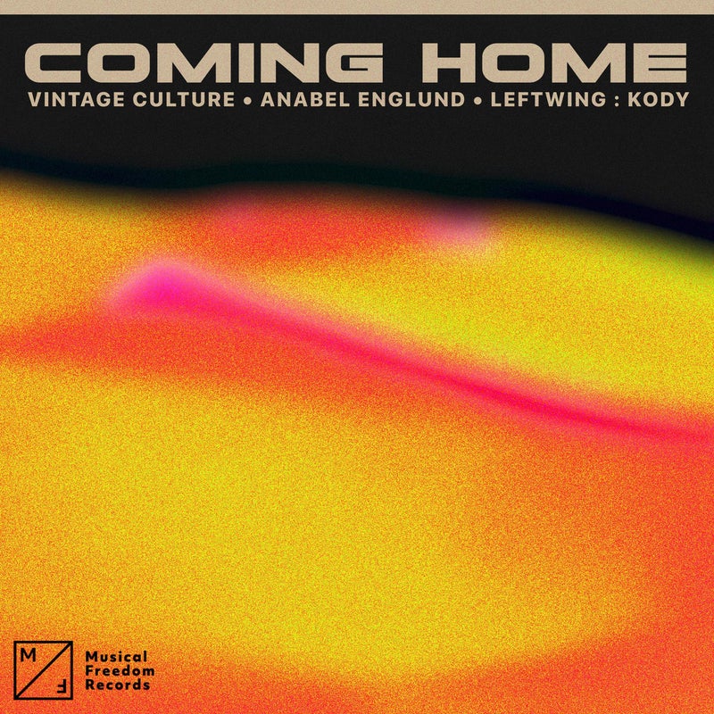 Coming Home (feat. Anabel Englund) [Extended Mix]