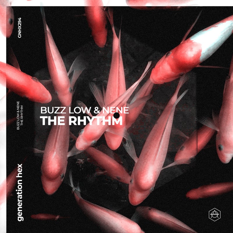 The Rhythm - Extended Mix