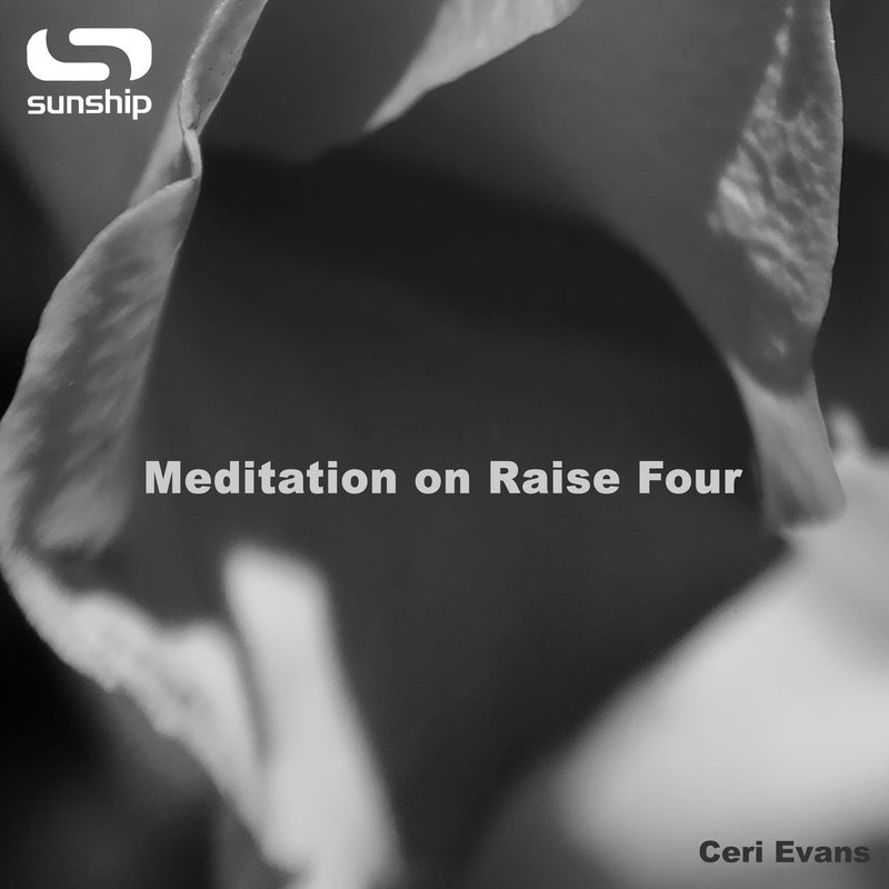 Meditation on Raise Four