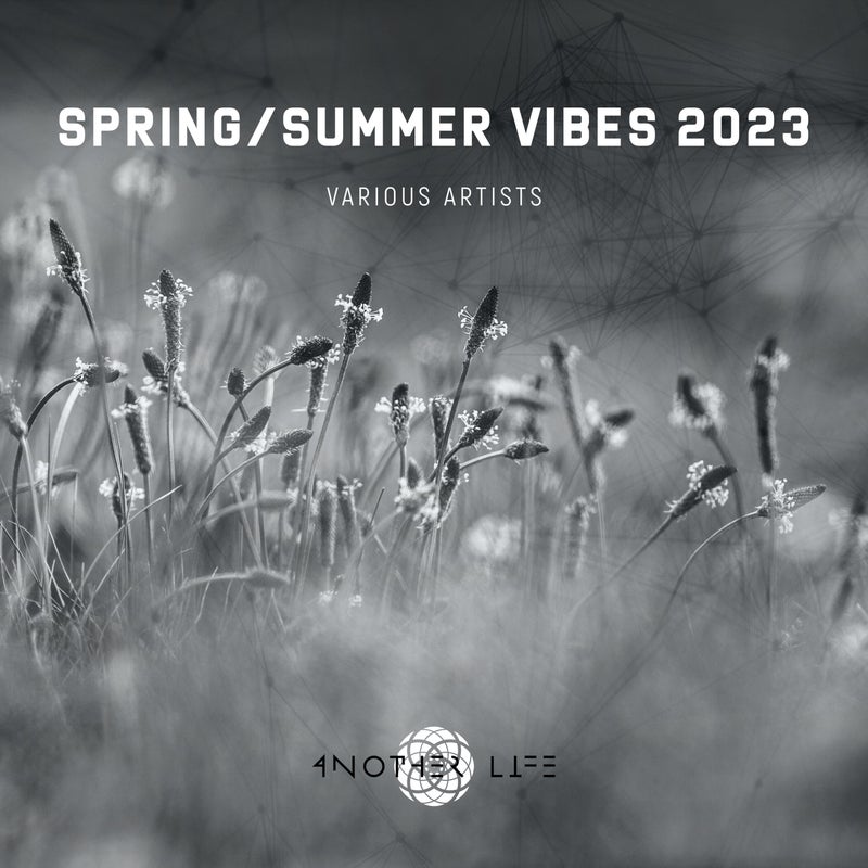 Spring/Summer Vibes 2023
