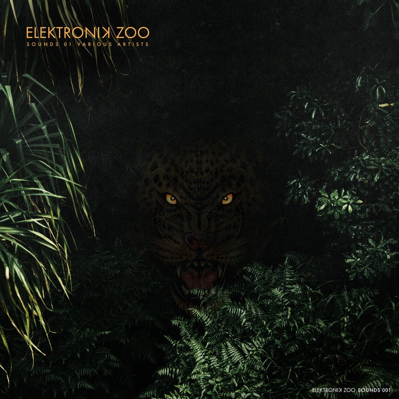 Elektronik Zoo Sounds 001