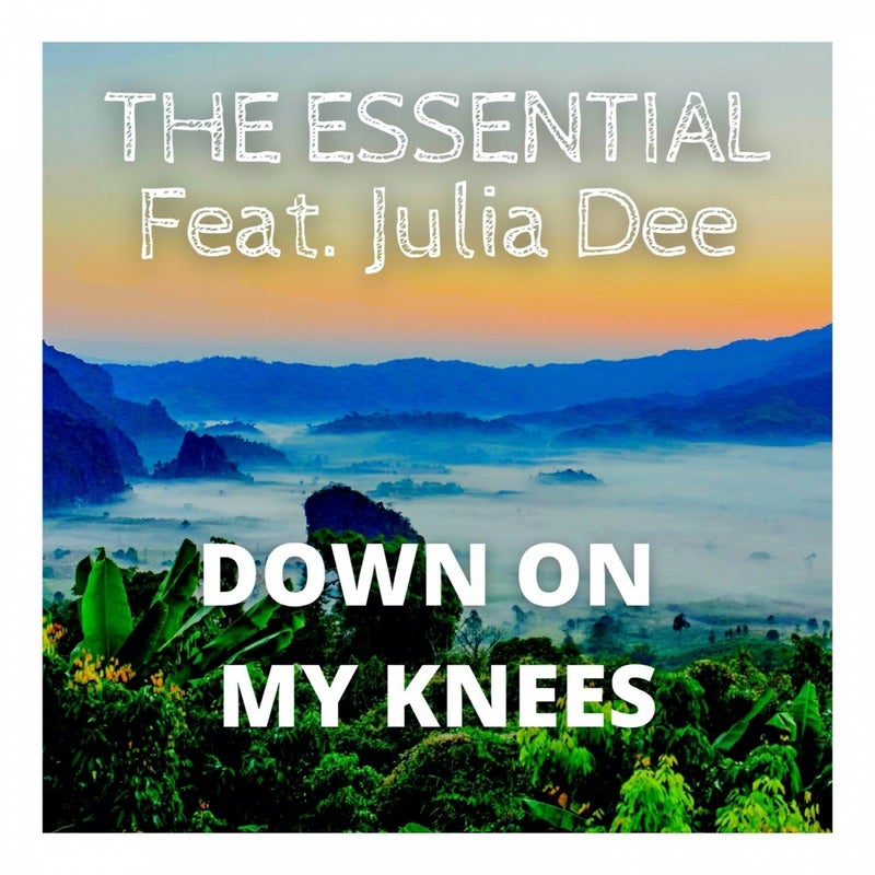 Down on My Knees (feat. Julia Dee)