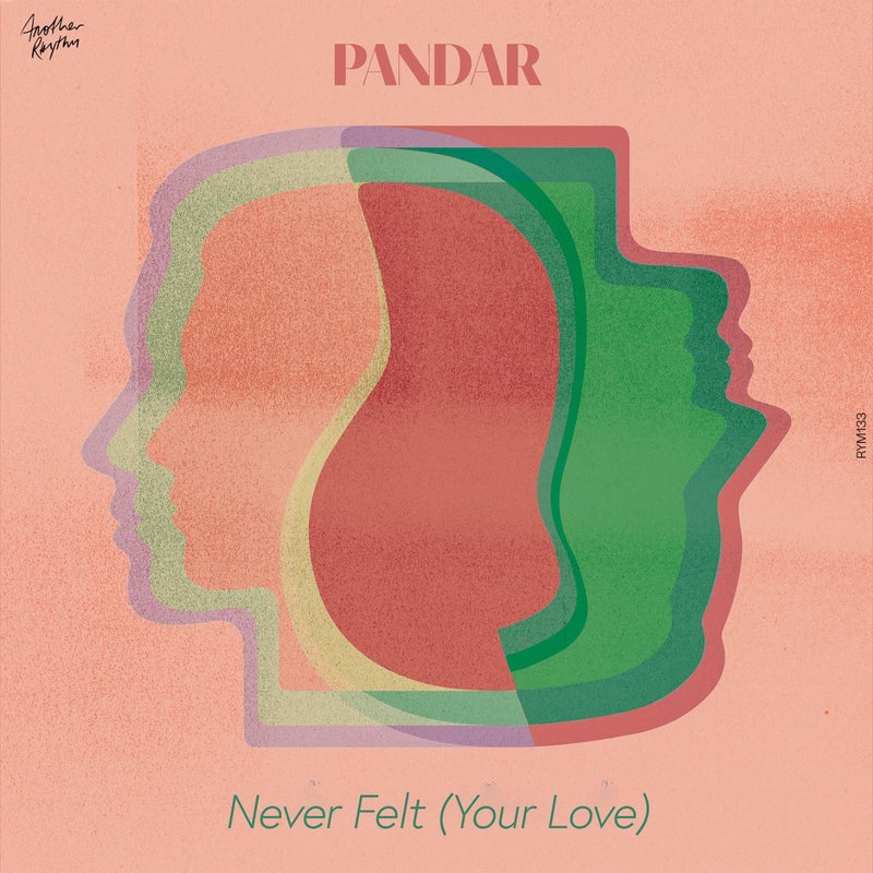 Never Felt (Your Love)