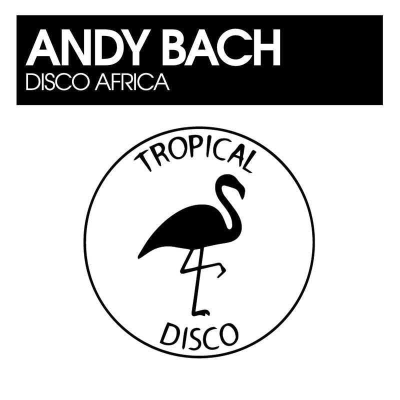 Disco Africa
