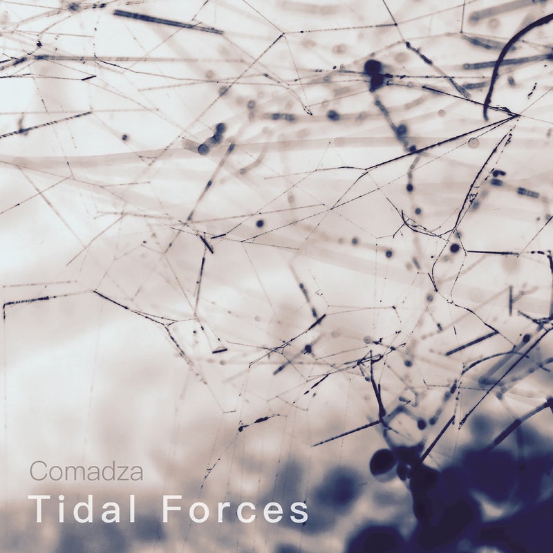 Tidal Forces