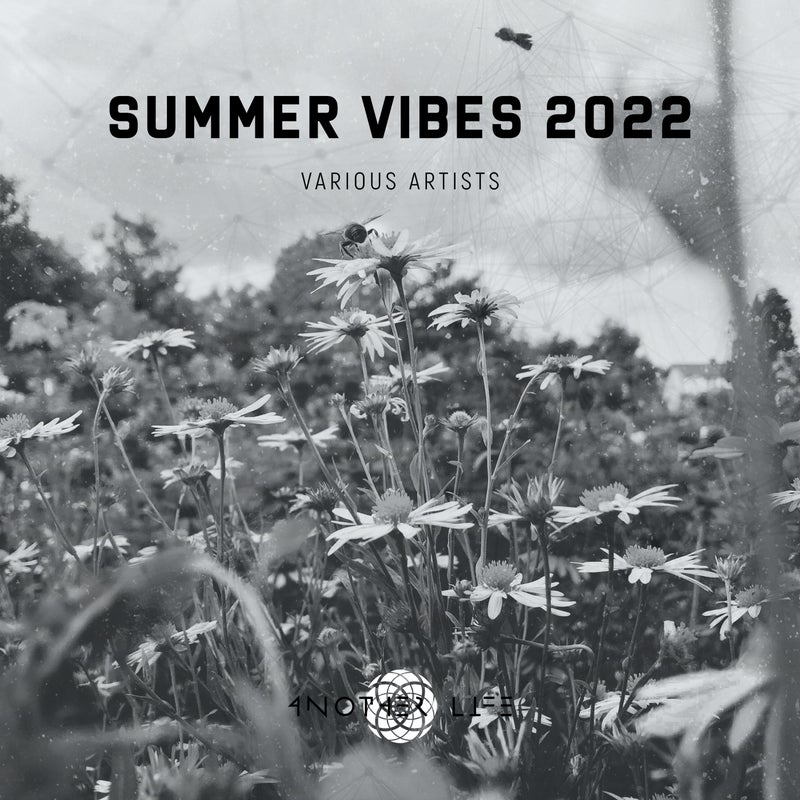 Summer Vibes 2022