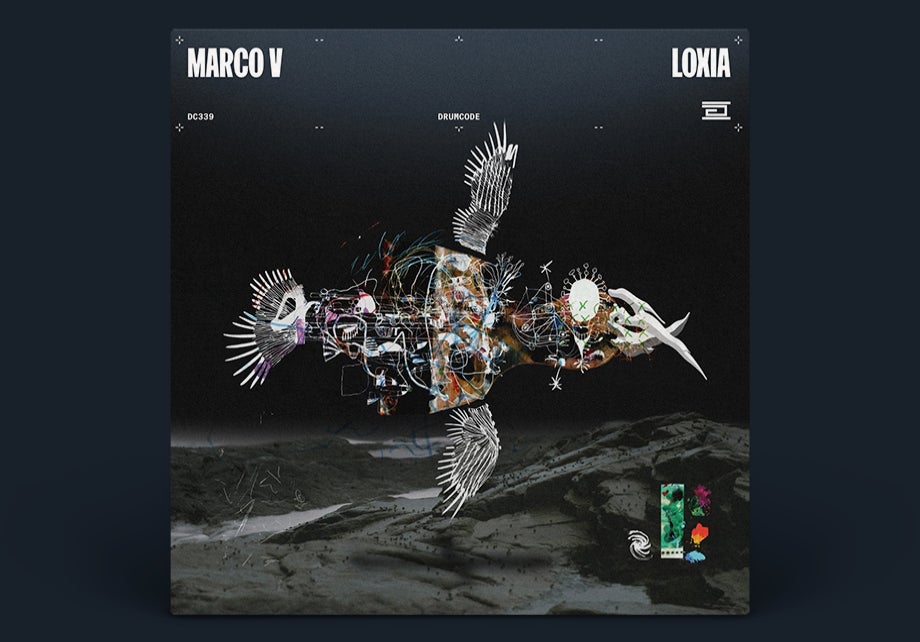 Loxia