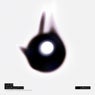 Your Light EP