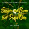System We Burn (feat. Timothy Wisdom, Busta & Peace One)