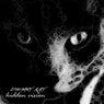 Hidden Vision
