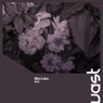 Blink