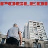 Pogledi
