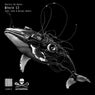 Whale 52
