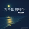 제주도 밤바다