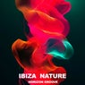 Horizon Groove