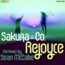 Rejoyce (Sean McCabe Remix)