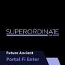 Portal Fi Enter
