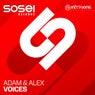 Voices - Extended Mix
