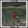 Lost in the Thicket (feat. LVNKY) - Single
