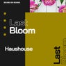 Last Bloom