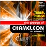 The Groove of Chameleon, Vol. 1 (A tribal House Experience, selected By Ritmo Urbano)