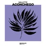 Aconchego (Extended Mix)