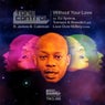 Without Your Love (Includes DJ Spinna, Tomson & Benedict And Love Over Money Mixes)