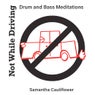 Not While Driving (Drum and Bass Meditations)