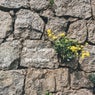 Set in Stone