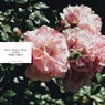Begin Again (Extended Mix)