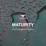 Maturity (Introspection)