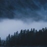 Vapour