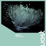 Сrickets vs. Fireflies (Radio Edit)