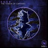 The Tower Of Captives