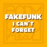 I Can't Forget