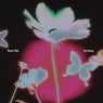 Too Heavy (Extended Mix)