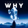 Why (Extended Mix)
