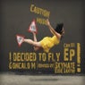 I Decided To Fly EP