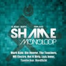 Shame (Radio Remixes)