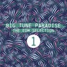 Big Tune Paradise - The EDM Selection, Vol. 1