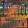 Tineret (Paduraru Fit Mix)